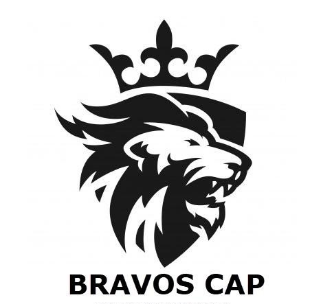 logo BRAVOS